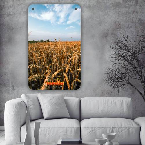 رادیاتور برقی شیشه ای تاپ سان مدل D-905 سایز 90×90