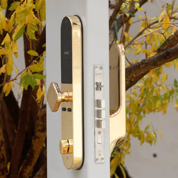 دستگیره دیجیتال ALOCK مدل +P60