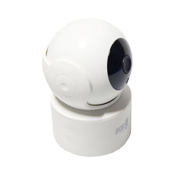 دوربین مداربسته وایرلس اسفیورد Z221