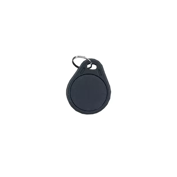 تگ مایفر برایتون