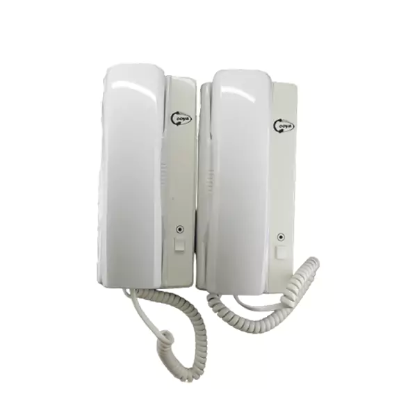 ارتباط داخلی یک به یک گویا
