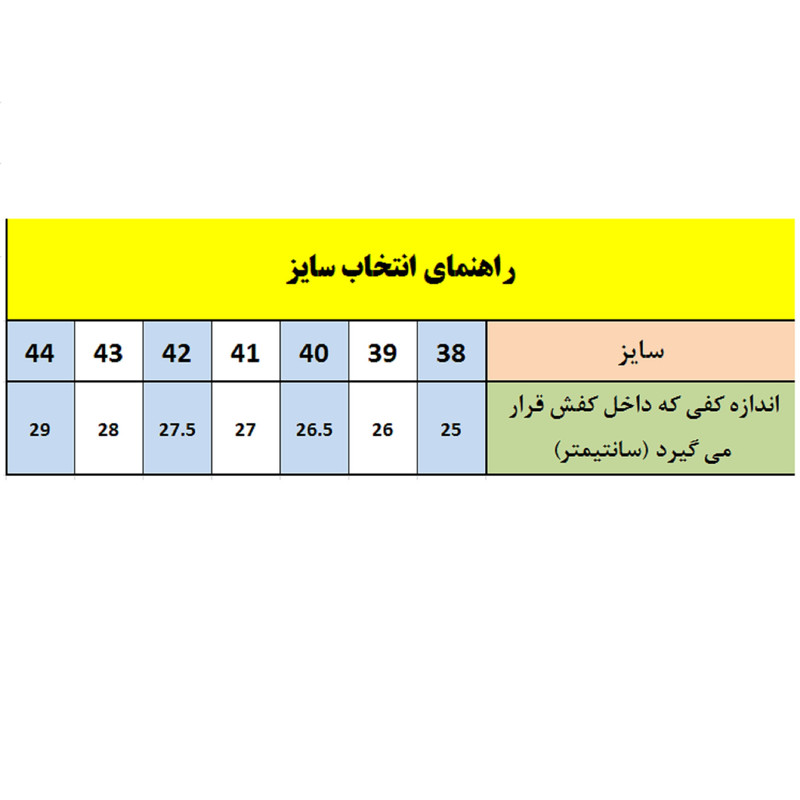 پوتین ایمنی ولتکس مدل اقتصادی VAULTEX-ARO