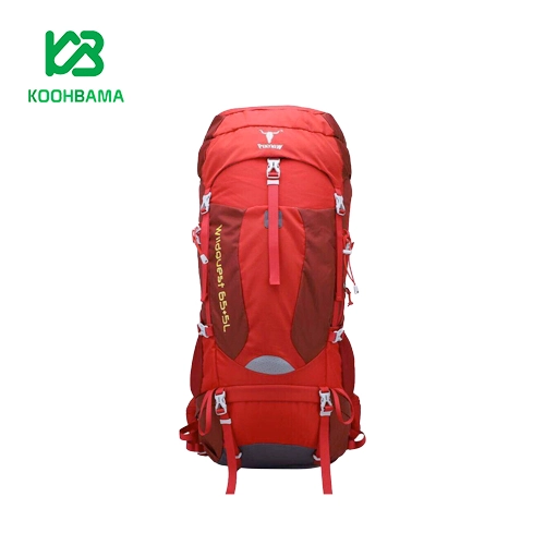 کوله پشتی 5+65 لیتری کله گاوی مدل wildguest