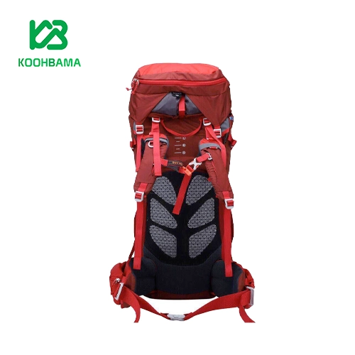 کوله پشتی 5+65 لیتری کله گاوی مدل wildguest