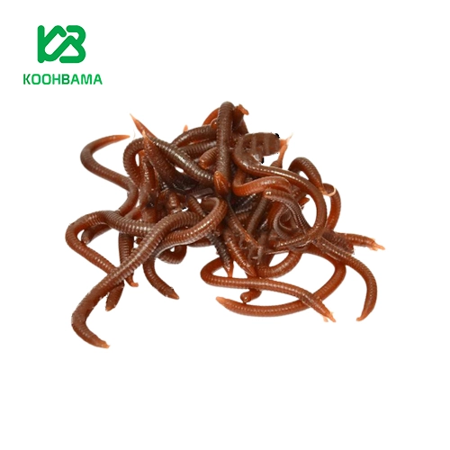 کرم مصنوعی Baohua رنگ خاکی